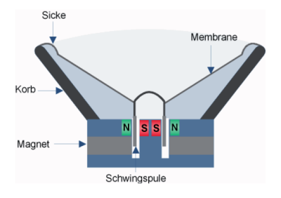 Membrane, die mit einer zentralen Schwingspule verbunden ist