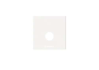 Ackermann-Clino 88885G3 - Abdeckpl. Anschlusseinheit Systevo Care